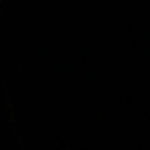 Meet your Posher, Dante